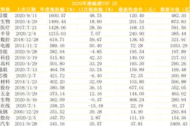 2020年牛熊股：立昂微暴涨16倍，贵州茅台跻身市值第一股图片
