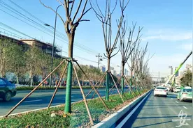 合肥长江东路1月1日全线贯通 采石路正式通车图片