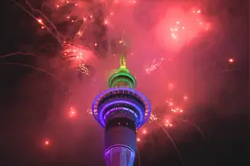 疫情之下，各国跨年夜也有“新姿势”……图片