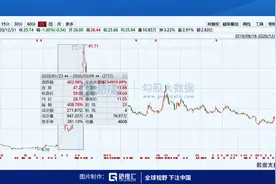2020年十大妖股：眼见他起高楼，眼见他楼塌了图片