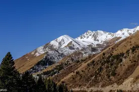 四川鹧鸪山白雪皑皑 壮美如画图片