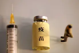 被仓鼠、兔子、小鸟甚至人咬了，要打狂犬病疫苗吗？视频封面