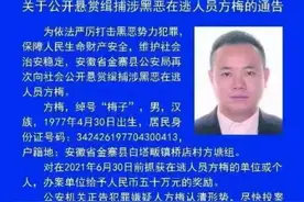 安徽警方悬赏50万！缉捕“梅子”图片