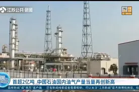 首超2亿吨！中国石油国内油气产量当量再创新高视频封面