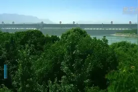 1118亿千瓦时！三峡电站创造了新的世界纪录！视频封面