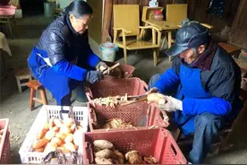 小小“红薯干”撑起婺城农民致富“艳阳天”图片
