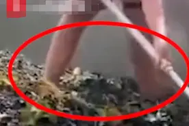 蜜雪冰城发赤脚踩葡萄榨汁视频被质疑后回怼？官方回应：假冒账号图片