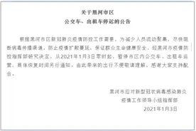 最新！黑龙江黑河市区公交车、出租车停运，中小学幼儿园已全部放假图片
