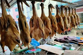 小城菜市场年货战争：在湘西南找到最野的味道图片