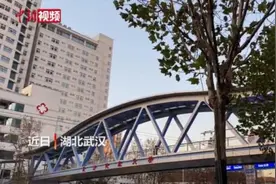 武汉这个过街天桥火了！有人专程打卡，有人含泪鞠躬图片