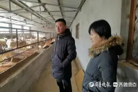 返乡创业搞养殖，泰安小两口带着乡亲发“羊财”图片