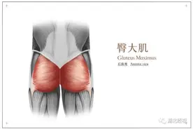 有些人活着，屁股却“死”了…… 打工人，你听说过死臀综合征吗？图片