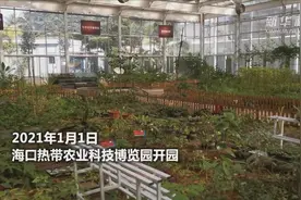 海口热带农业科技博览园开园视频封面