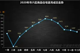 2020年宁波市区住房成交“年报”图片