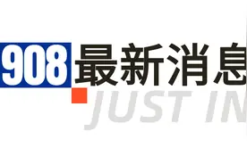 合肥4号线最新消息图片