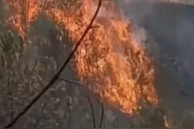广东梅州梅县突发山火仍在扑救，出动直升机运水！暂无人伤亡图片