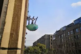 怪事！杭州一居民楼，大晴天撑满雨伞？网友纷纷点赞图片