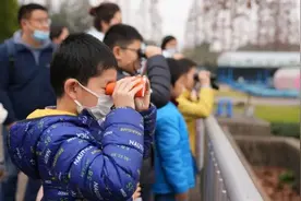 上海市区常见的这5种鸟，你都认识吗？图片