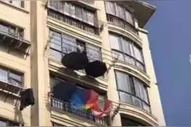 怪事！浙江一居民楼阳台大晴天撑满雨伞？邻居却纷纷效仿……图片