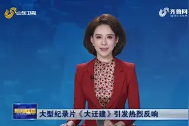 给60万滩区群众一个稳稳的家！纪录片《大迁建》引发热烈反响图片
