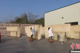 从家庭作坊到工厂集约 安徽肥东挂出“幸福面”图片