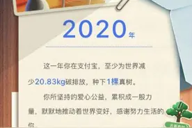2020年支付宝年度账单哪里看 支付宝2020年度账单入口地址图片