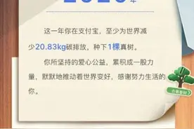 2020年支付宝年度账单哪里看 支付宝2020年度账单入口地址图片