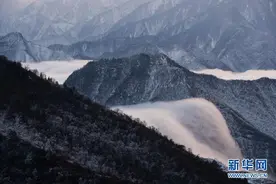 四川牛背山：奇峰云海入画来图片