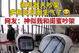 有内味儿了！两个机器人吵起来了，甚至还要“动手”？网友：像极了情侣吵架图片