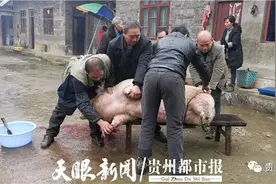贵州土猪肉更香！贵阳阿姨花近万元杀年猪准备过年图片