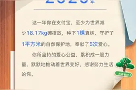 支付宝年度账单来了！网友：一年一度的疑惑日又到了图片