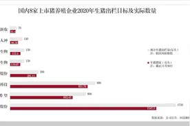 展望与回眸｜超级猪周期红利淡化“二师兄”吸金能力迎考图片