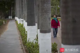 小寒时节注意“防五寒”！专家教你常用中药补阳驱寒图片