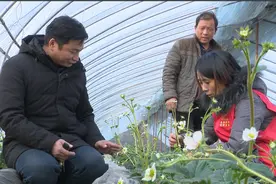 34秒｜深入一线解决难点热点 滕州志愿者服务群众“不打烊”图片