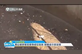河南洛阳：动物园猴山被游客投食成垃圾场，铜像还成了小孩坐骑视频封面