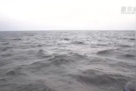 跟八旬老教授出海 看科研人员如何修复长江口水生生态系统视频封面