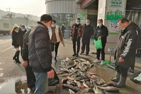 菜场摊主为啥都在卖鱼？真相令人动容图片