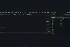 中国财富报道|A股开年第一雷：北京文化涉信披违规遭立案视频封面