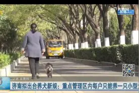 济南拟出台养犬新规：重点管理区内不得饲养没有登记和免疫的犬只视频封面