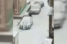 65秒丨暖心！大连防疫人员雪中把小区汽车雨刷挨个儿立起来防冻视频封面