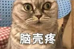 男子住到贵阳女友家，同居5年后分手……男方索要20万“分手费”图片