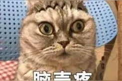 男子住到贵阳女友家，同居5年后分手……男方索要20万“分手费”图片