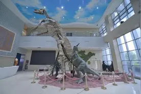 地学科普工作应该怎么做图片