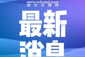 湖北2021年高考11类考生可享加分或优录，首次实行网上申报图片