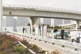 刺桐大桥：非机动车改左幅桥面通行图片
