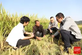 做深做实政治监督图片