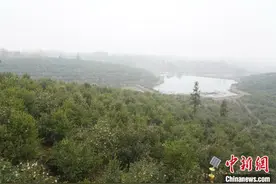 鸭满塘、茶满山：光山不“光”图片