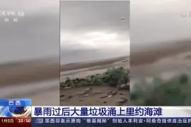 触目惊心！大量垃圾涌上巴西里约海滩……图片