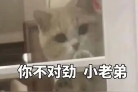 十多天出现400多万的流水！这张“不太对劲”的银行卡，被警方盯上了图片