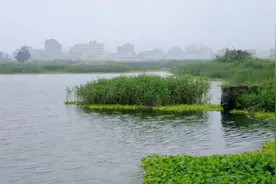 “考得好怪我吗？”13岁女孩考第一被老师质疑，后不幸溺亡图片